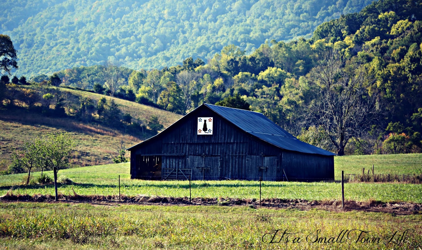 It S A Small Town Life Black Barn And Cat