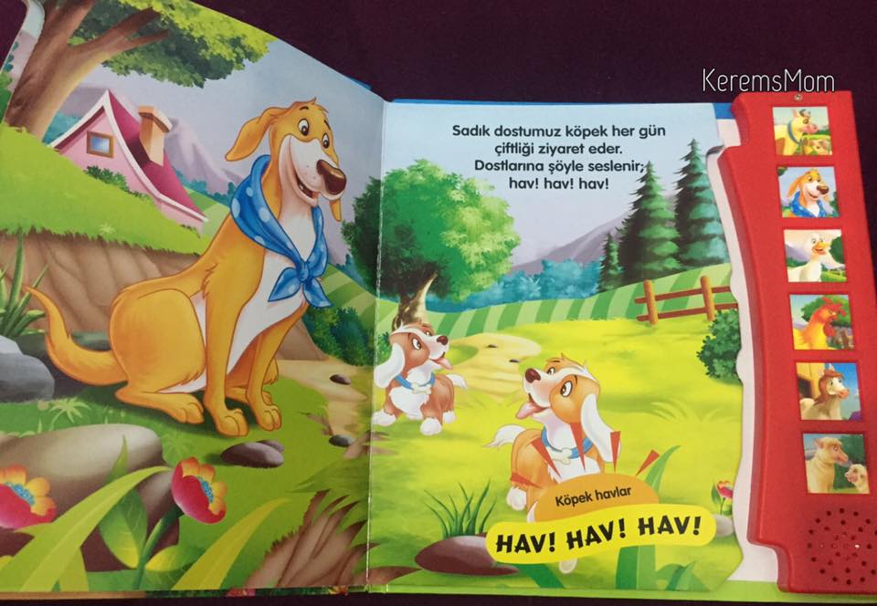 Sesli Kitap Dinleyebileceginiz En Iyi 10 Populer Uygulama Webhakim