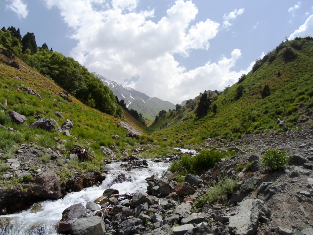 Река каратаг в таджикистане