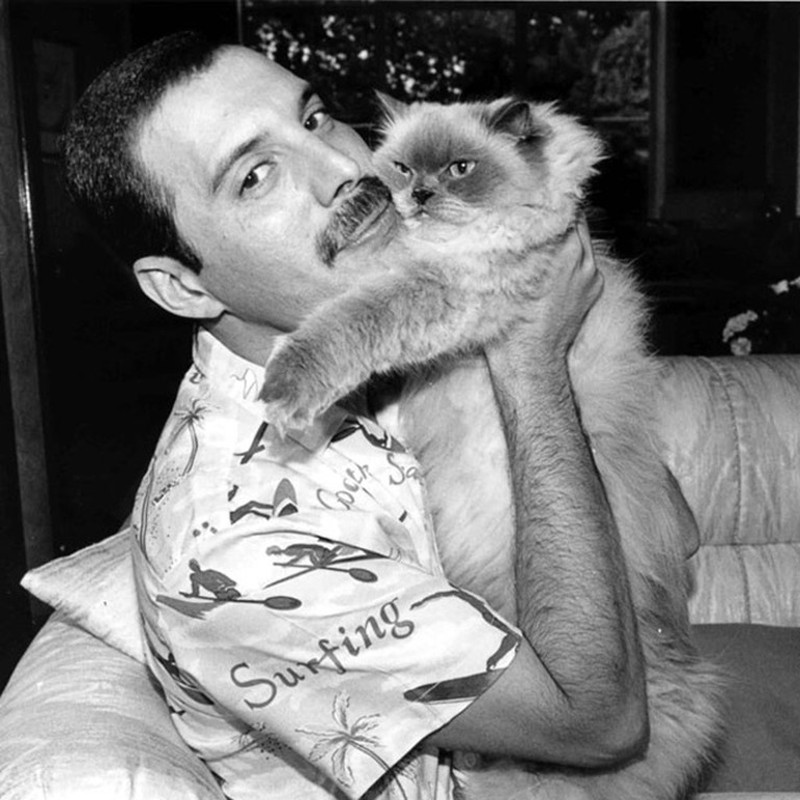 Freddie Mercury Old Photos