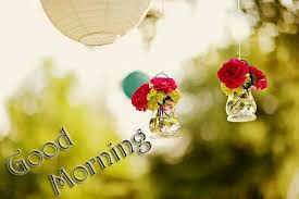 50 good morning images pictures photos digital duniya