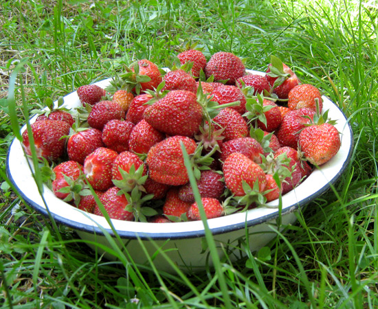 Strawberry, лето, клубника