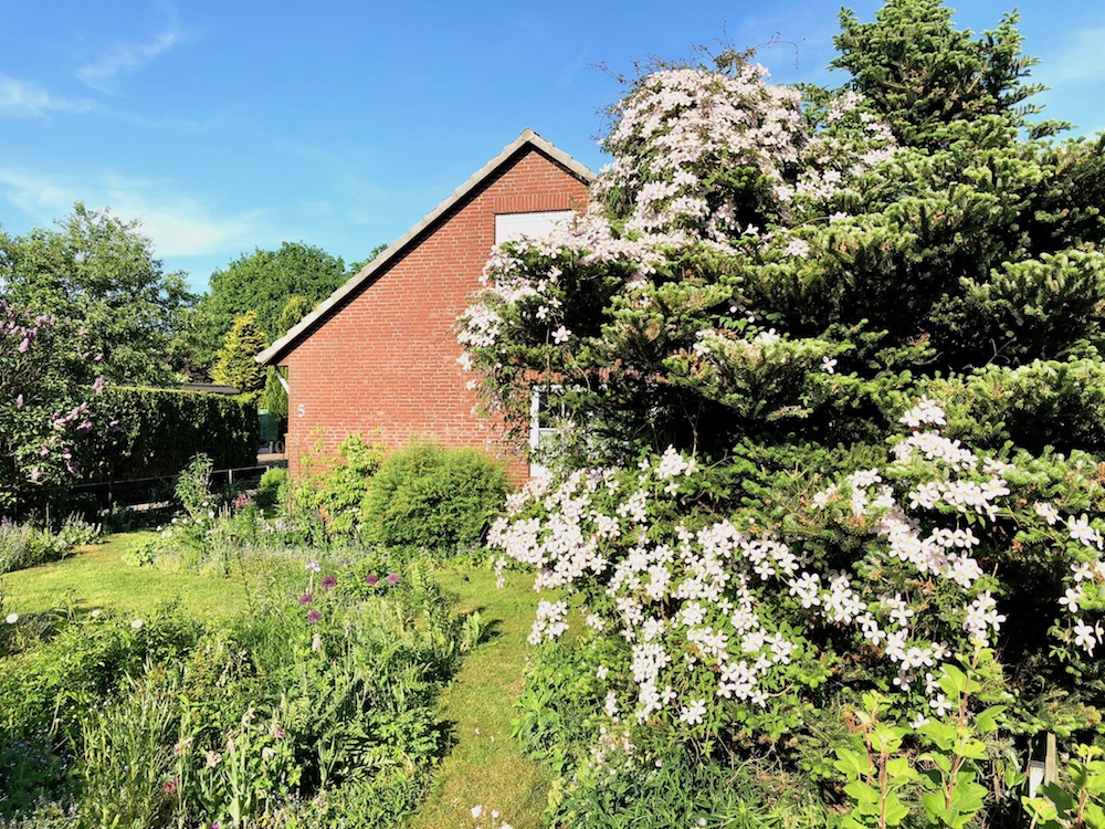 Sommer Sonne Urlaub Sunnys Haus