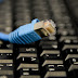 Consumidores criticam proposta de limitar uso da internet fixa no Brasil