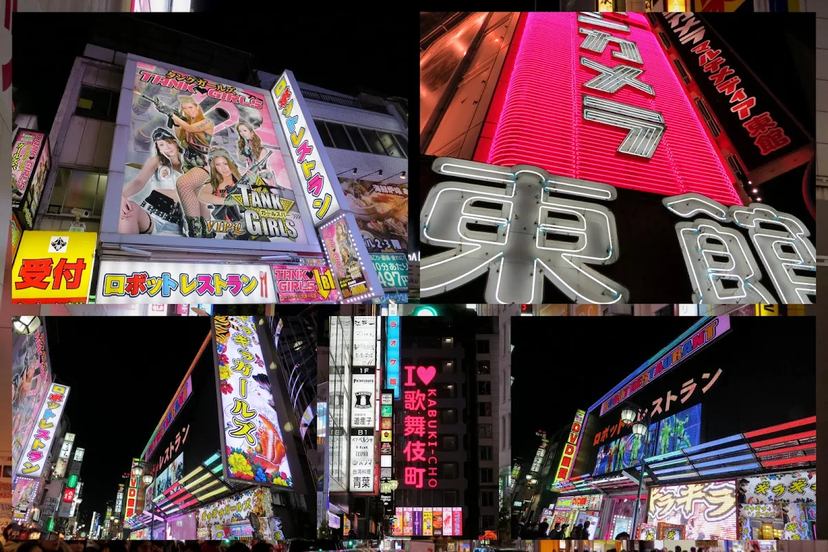 Tokyo neighborhoods - Shinjuku at night