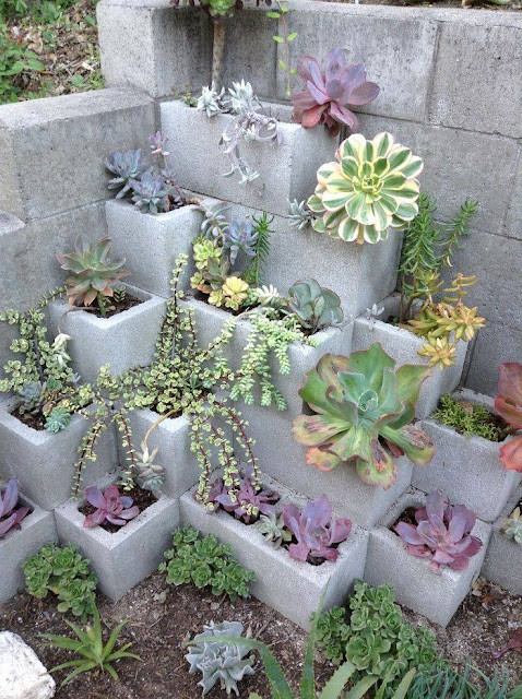 Cinder Blocks Succulent Garden