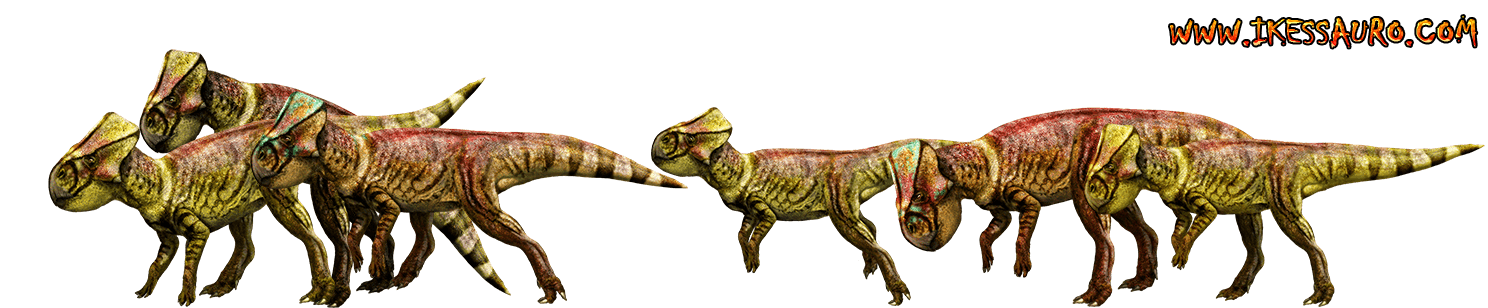 microceratus ikessauro