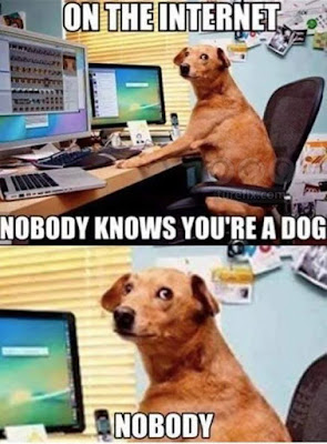 On the Internet, funny animal meme dog pictures