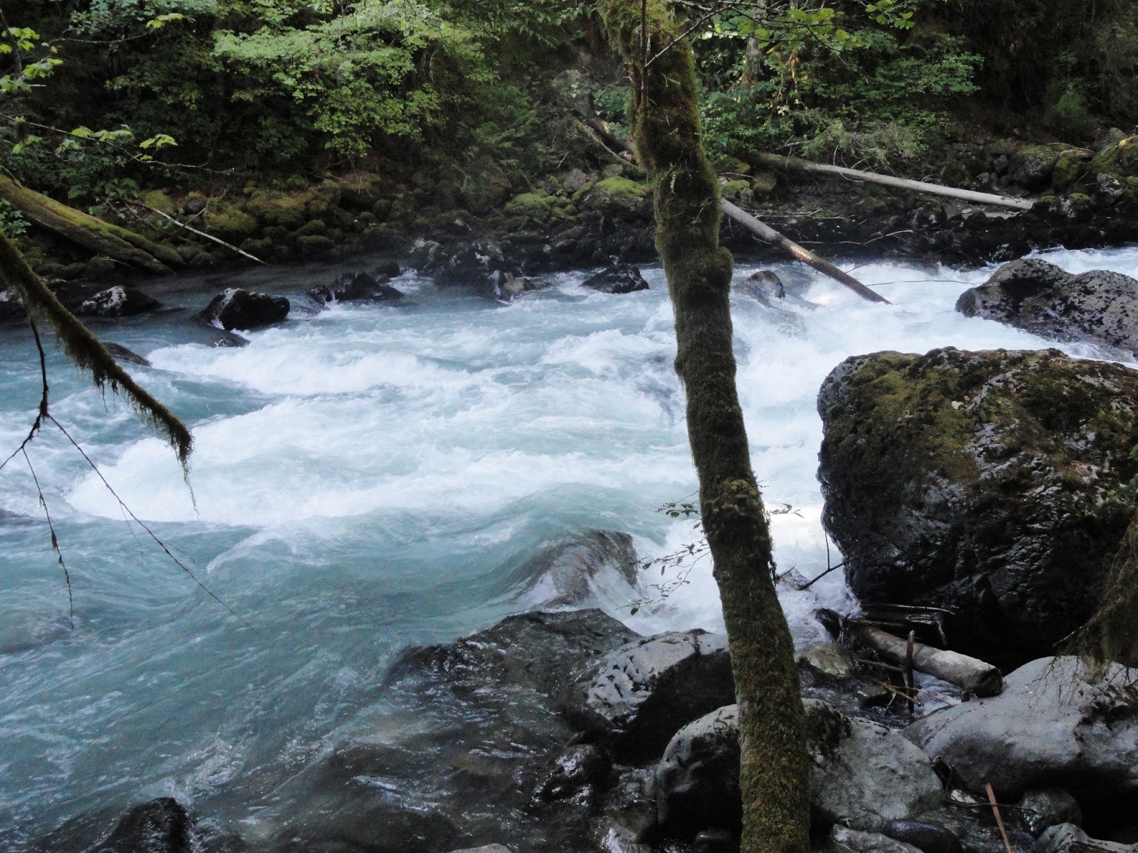 Ben & Star's Excellent Adventure Nooksack River Hike