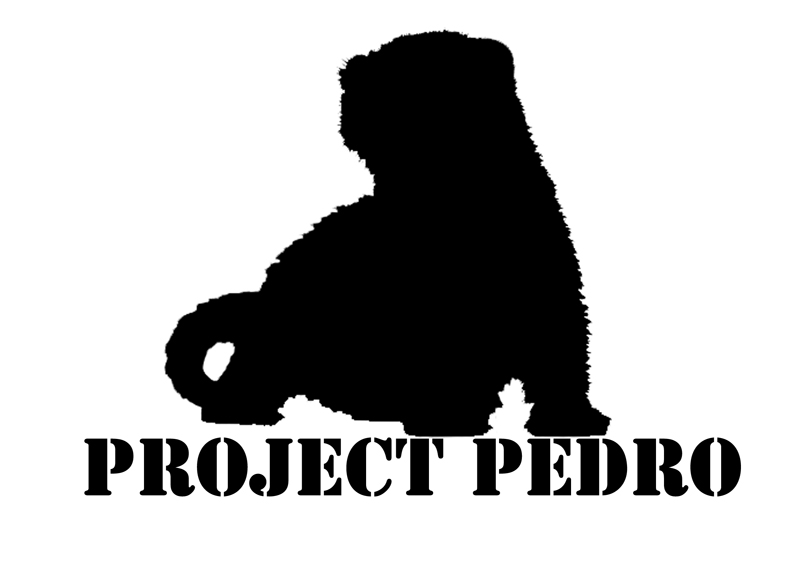 Project Pedro 2011