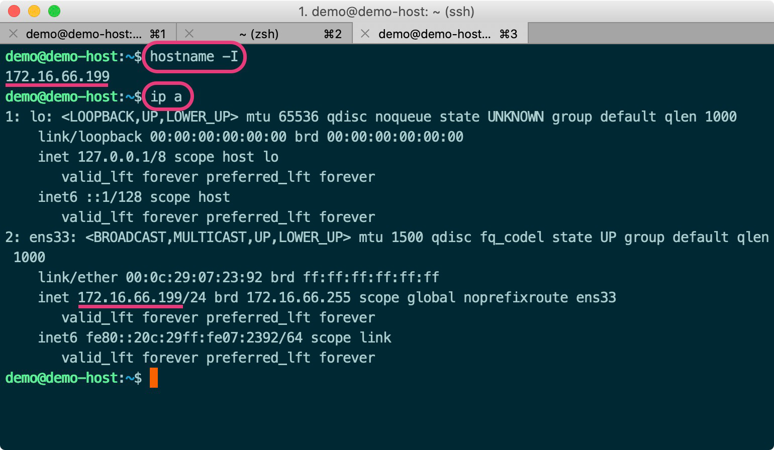 netplan設定IP - 由DHCP變成固定IP