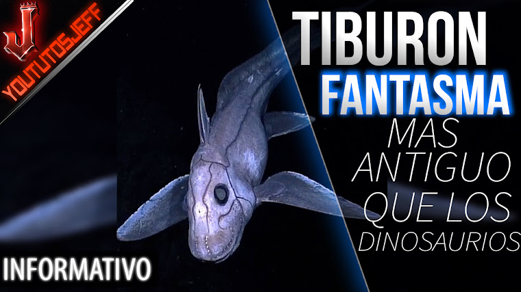 El Tiburon fantasma una criatura más antigua que los dinosaurios