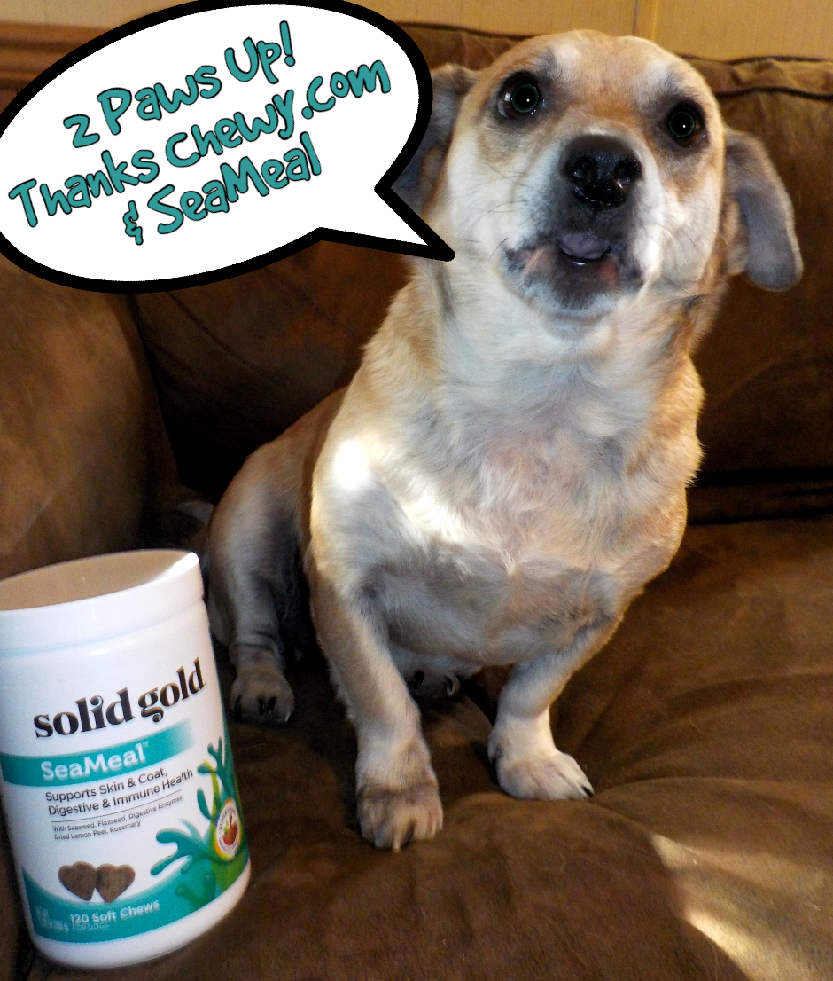 Iodine In Dog Food Iodine In Dog Food