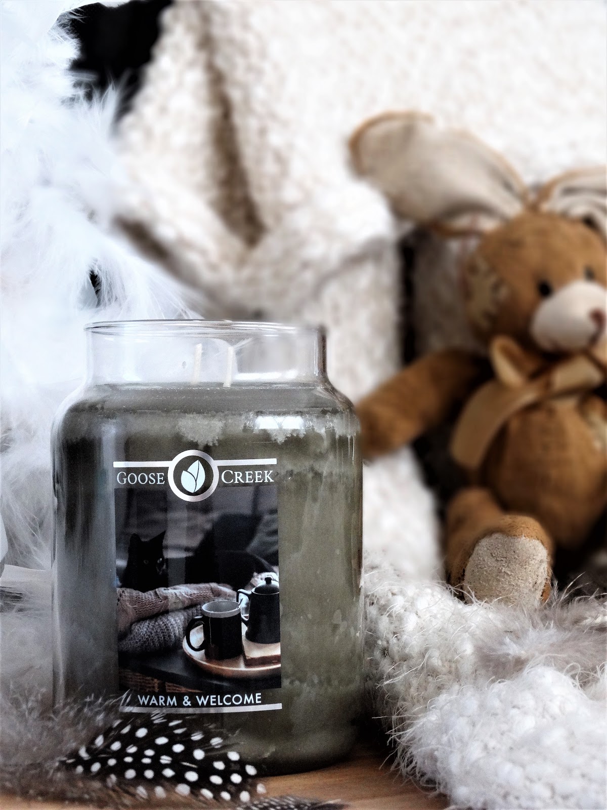 GOOSE CREEK WARM & AVIS