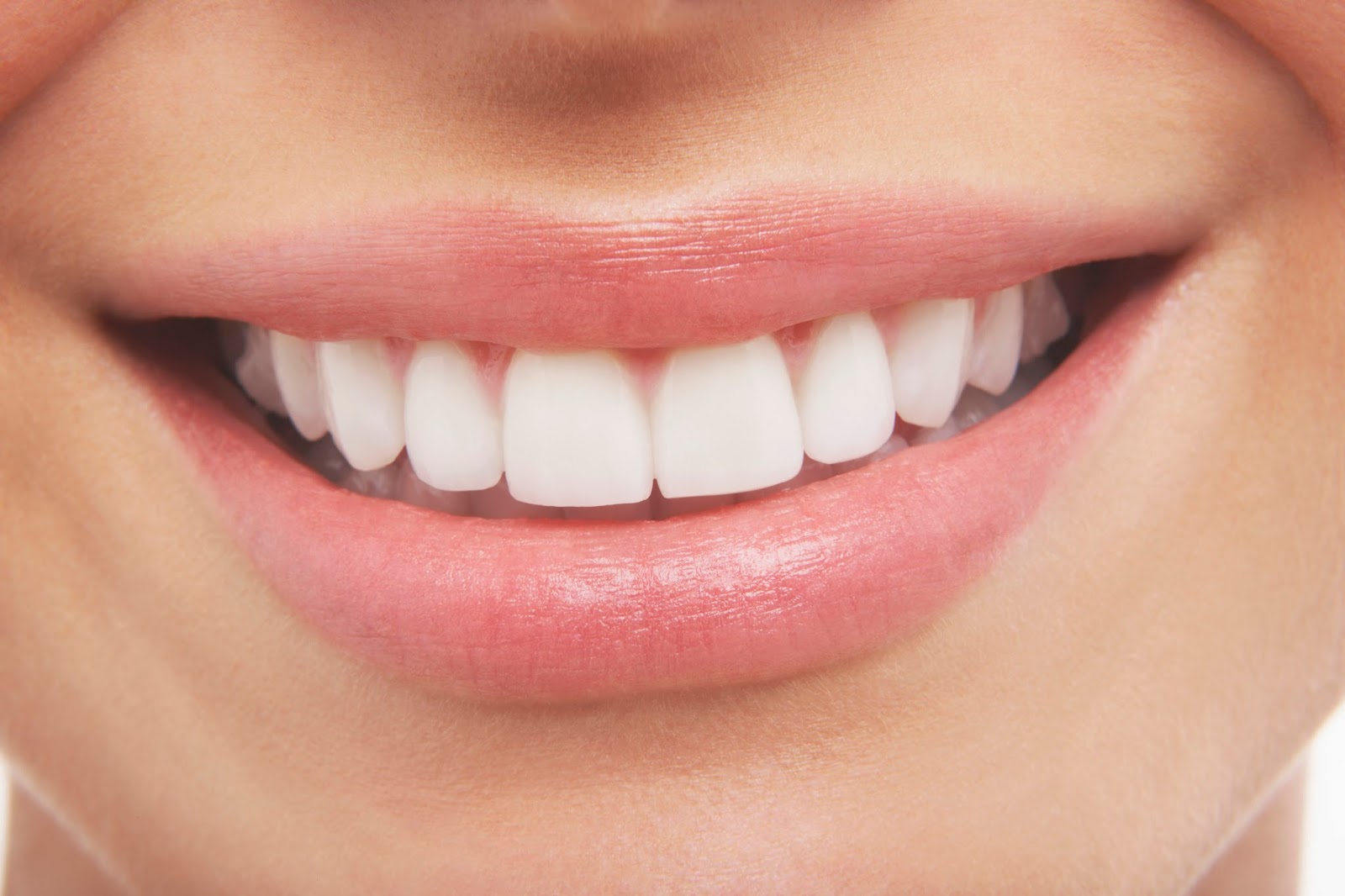 What Are Teeth Made Of? and 10 other facts about teeth