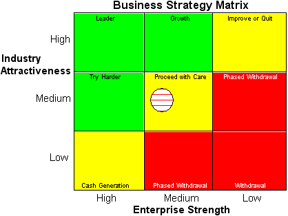 Business Management: Marketing strategy Matrix