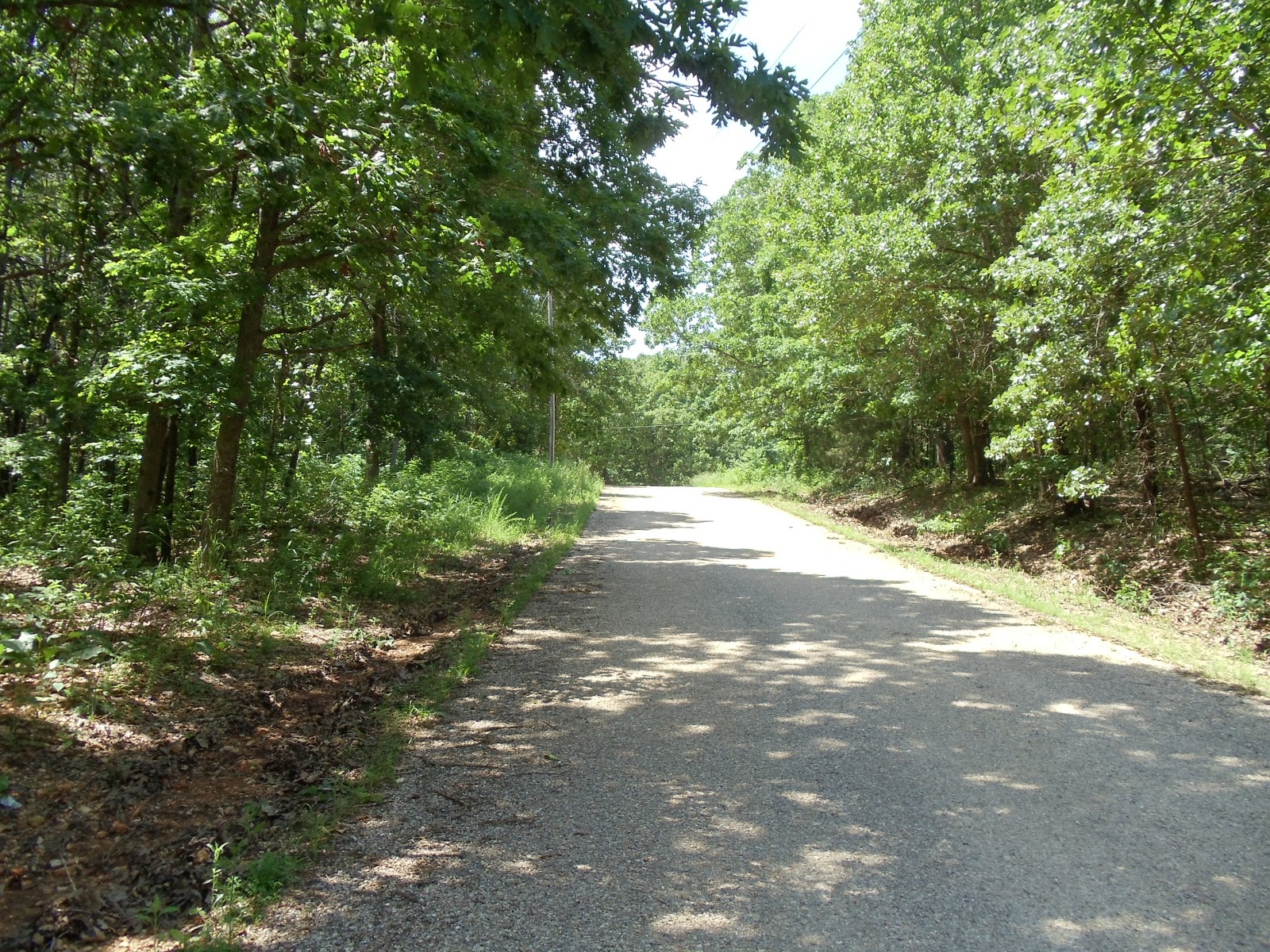 Bella Vista Lots and Land Bella Vista Land for Sale