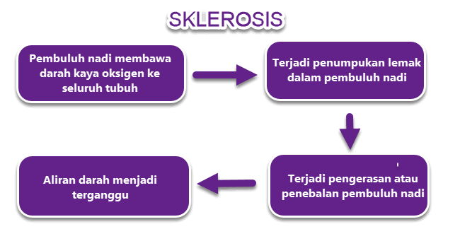 Gangguan pada organ peredaran darah manusia dapat terjadi karena keturunan Diagram Alur Gangguan Organ Peredaran Darah