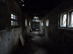 abandoned buildings empty rooms trees tb bend halls corridors quivering branches rustling sway listen
