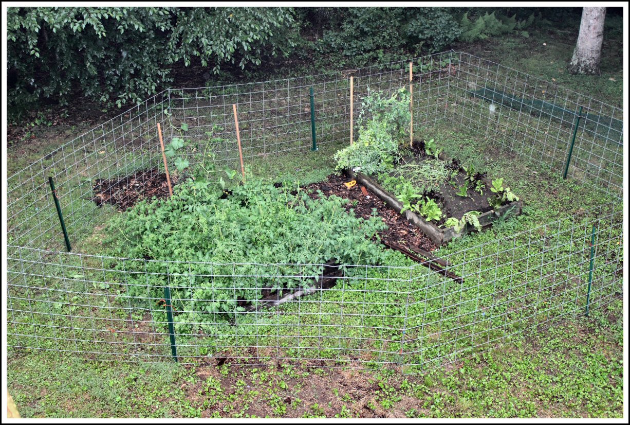 Texas Adventures in New England: And then there were fences!