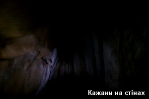 Перша мала печера - кажани на стінах Кажани на стінах печери