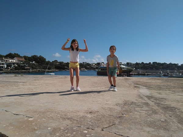 camiseta diy flamenco azul