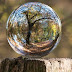 The Future of Today - How will Climate Change Impact Human Beings life in the future?