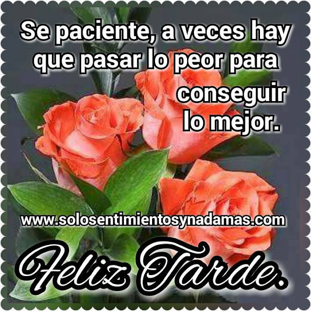 Feliz tarde