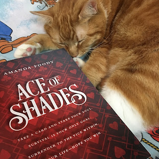 Ripple's sleepy haul. Ripple with Ace of Shades!!!!!