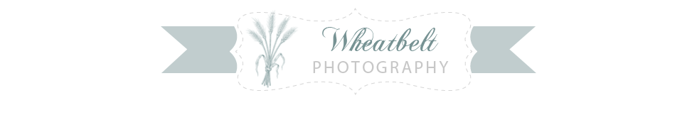 Wheatbelt Photography
