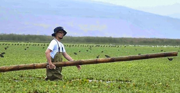 Peruano logra descontaminar laguna en Huaral