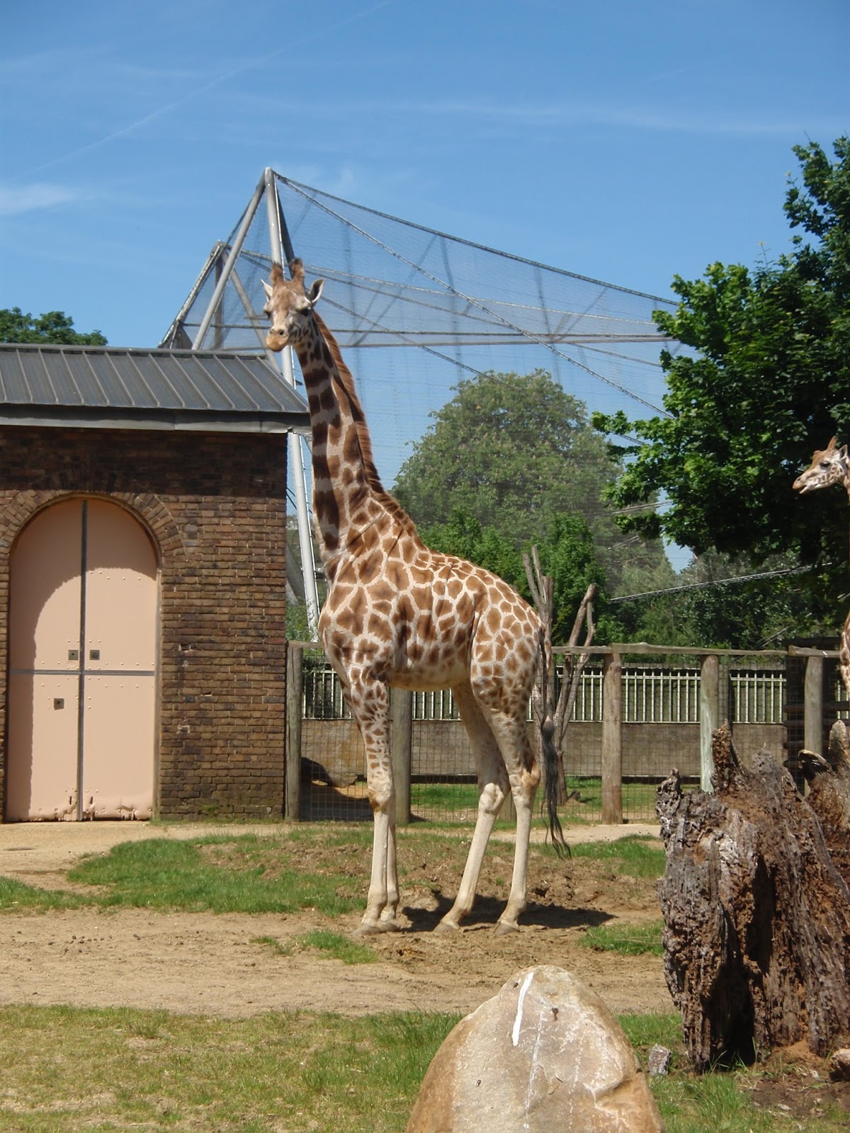 Topical Tens: 2nd June: London Zoo