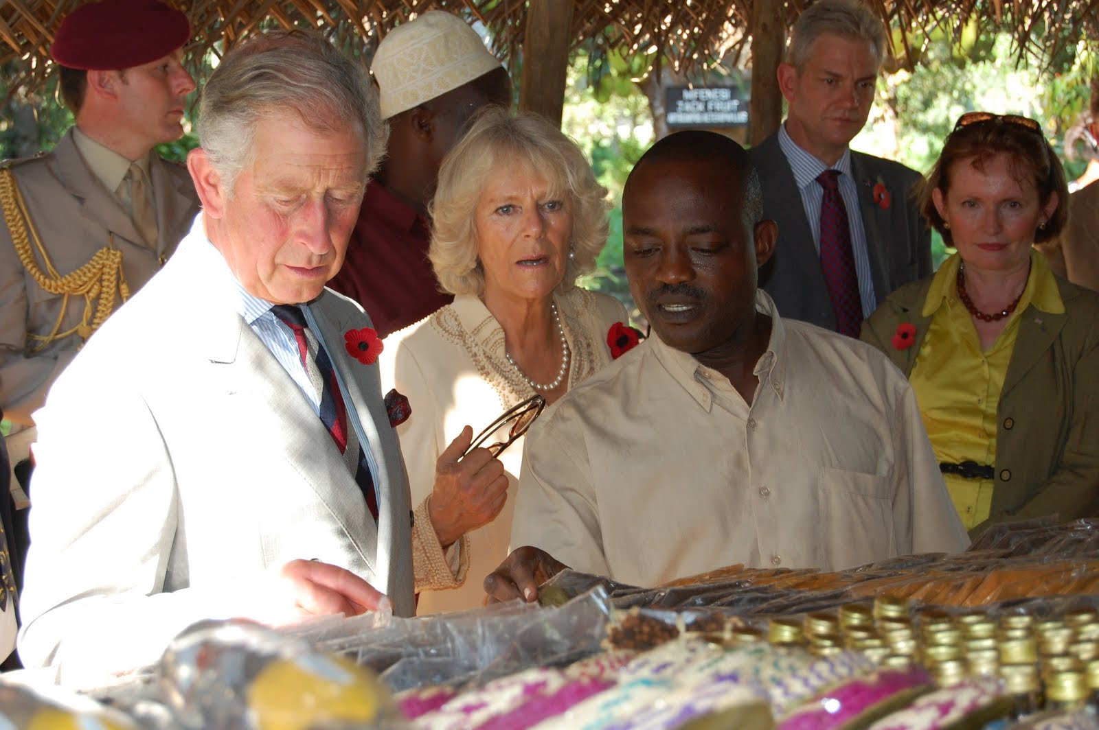 PRINCE CHARLES AND HERBAL MEDICINES IN ZANIZBR Demonstrating the Value
