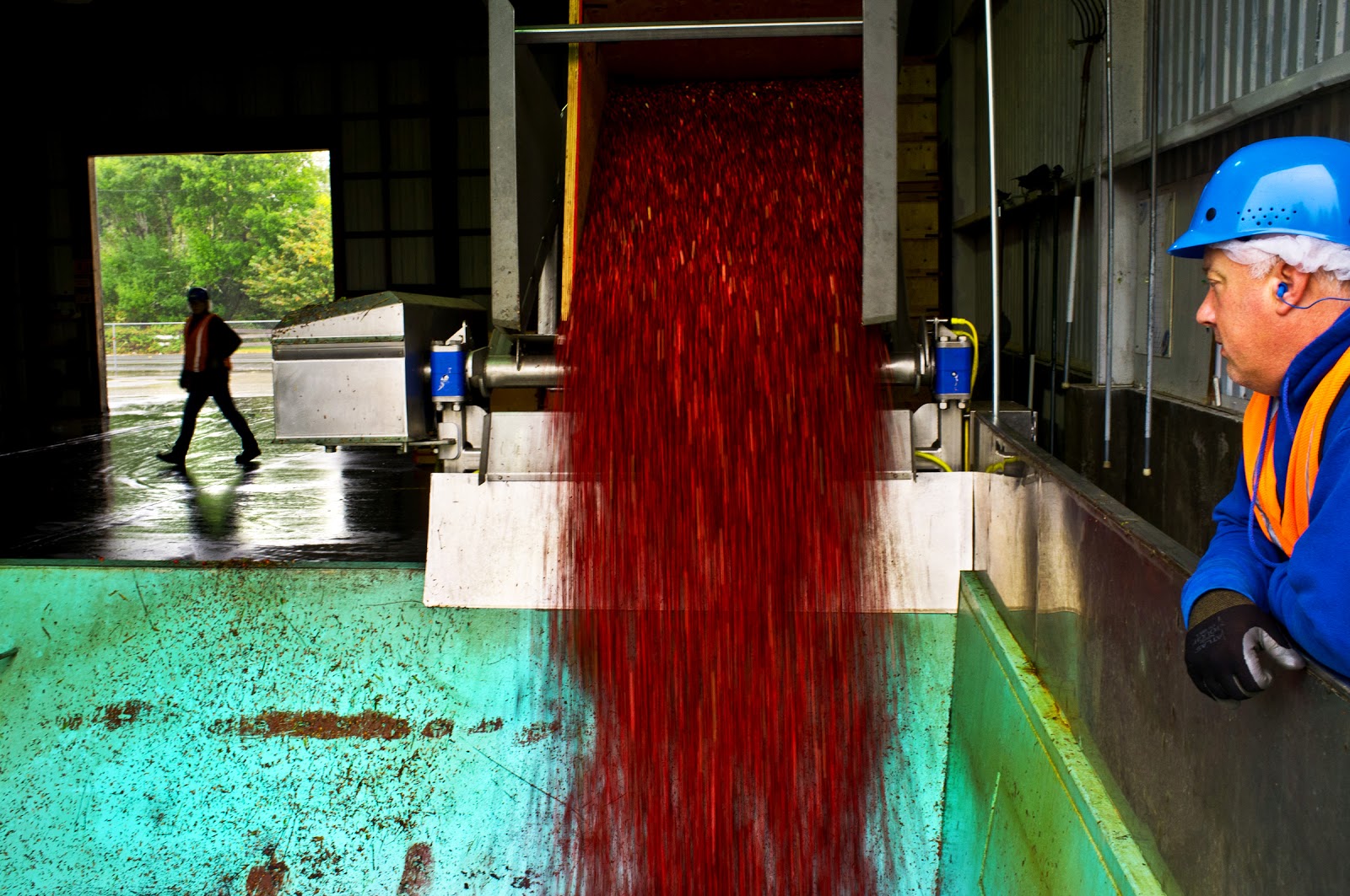 Picture Window photo blog Cranberries & Comets, Long Beach, Raymond, Wa.