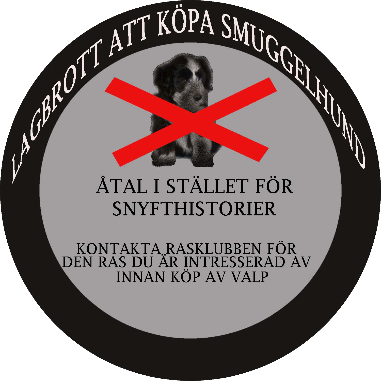 Breaker Bearded Collies LAGBROTT ATT KÖPA INSMUGGLADE HUNDAR