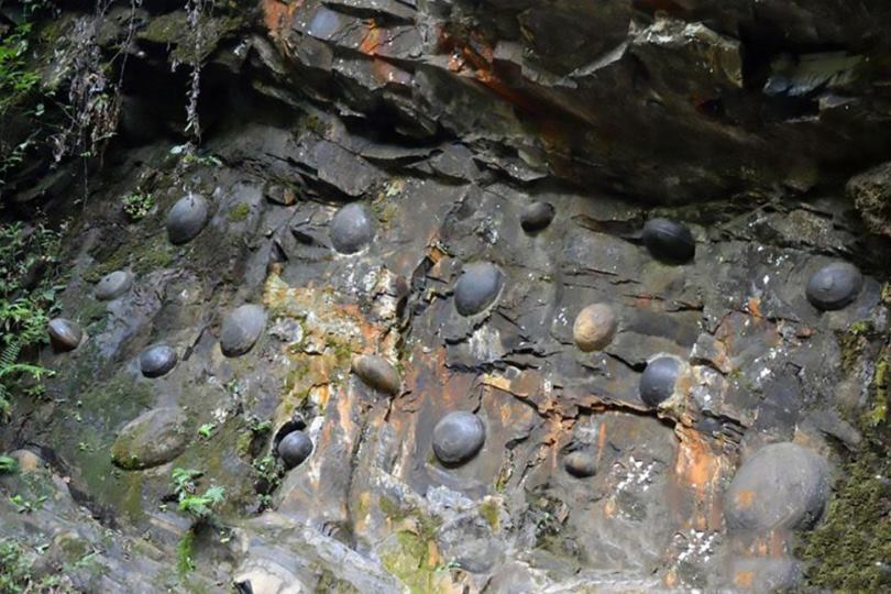 The southwestern Chinese Autonomous Region of Guizhou Province in southwestern China were surprised to find the smooth and rounded egg eggs protruding over the cliffs and falling to the ground afterwards. The cliff is named Chan D Ya, meaning "cliff to lay eggs" in Chinese.