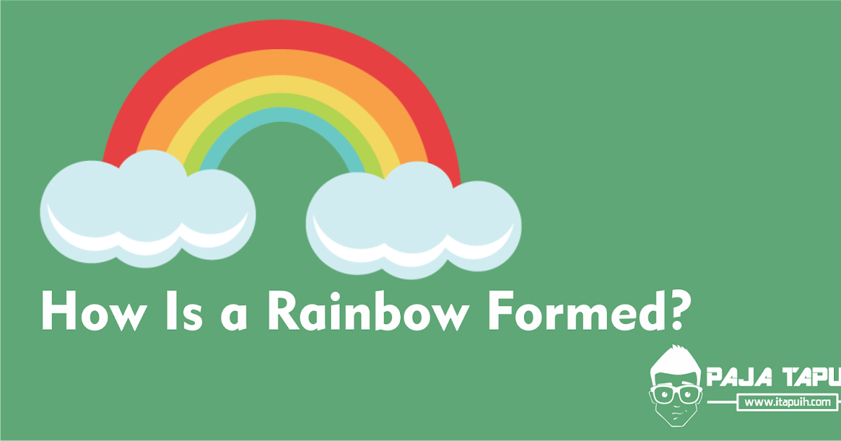 Explanation How Is A Rainbow Formed Dan Terjemahannya Berbagi Ilmu