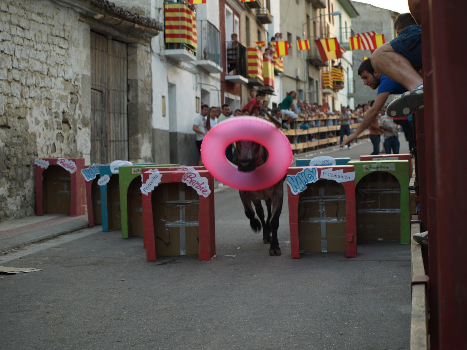 CASTEJÓN DE VALDEJASA VACAS EN FIESTAS DE CASTEJON DE VALDEJASA 2012
