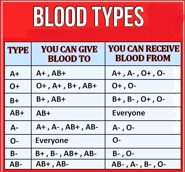 Study Medical Photos: October 2016