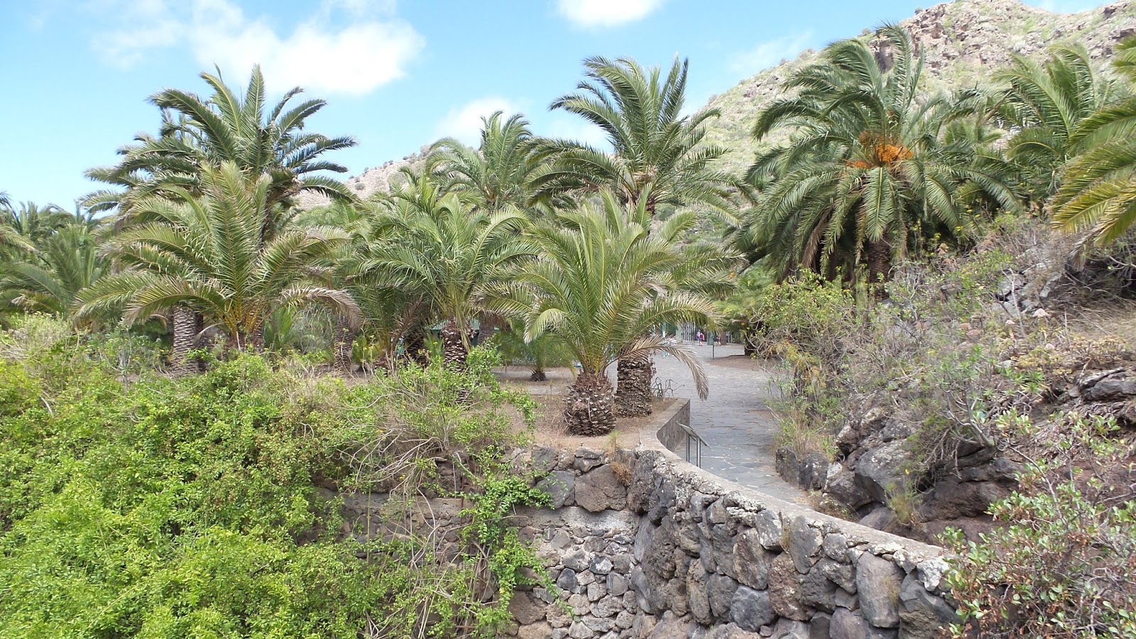 Der botanische Garten Jardín Botánico Canario "Viera y Clavijo"