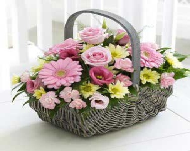 Basket Flowers ~ Flowers Wallpapers