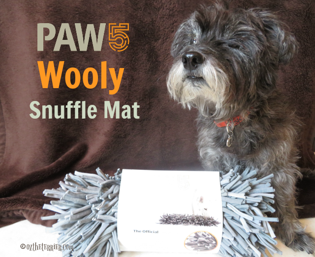 Fun Dog Mealtime with PAW5 Wooly Snuffle Mat Oz the Terrier