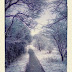 Winter Walk