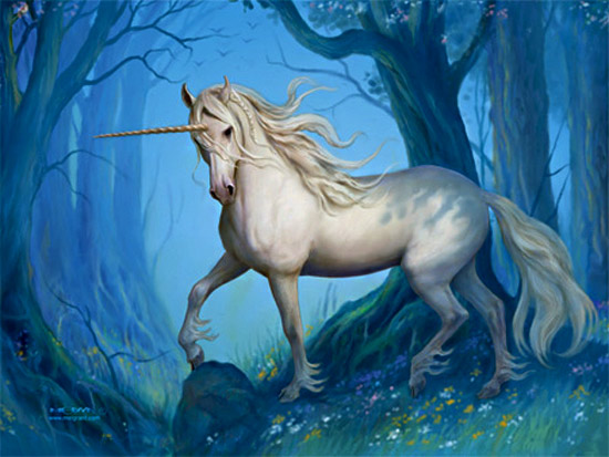 unicorn-6