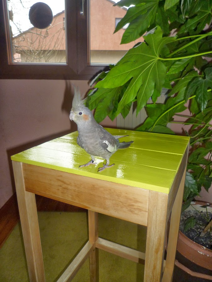 Taburete de madera verde pistacho.