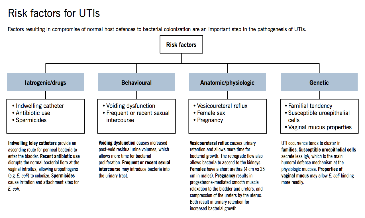 Life with Mom and Lewy Body Dementia Urinary Tract Infections and