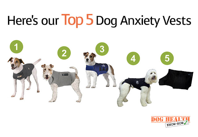  Top 5 Dog Anxiety Vests