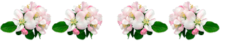 png%2Bayiracsarkac%2Bflatcastbiz%2Bdert%2Bzengini%2B%2528182%2529.png