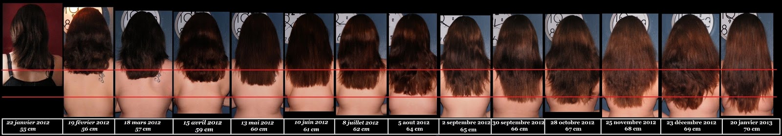 Criniere Divine Ma Pousse En Centimetres