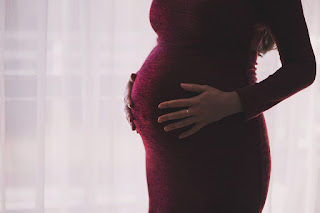 Image: Pregnant lady, by Pexels on Pixabay